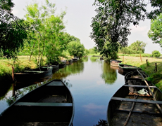 La Grande Brière, village typique.